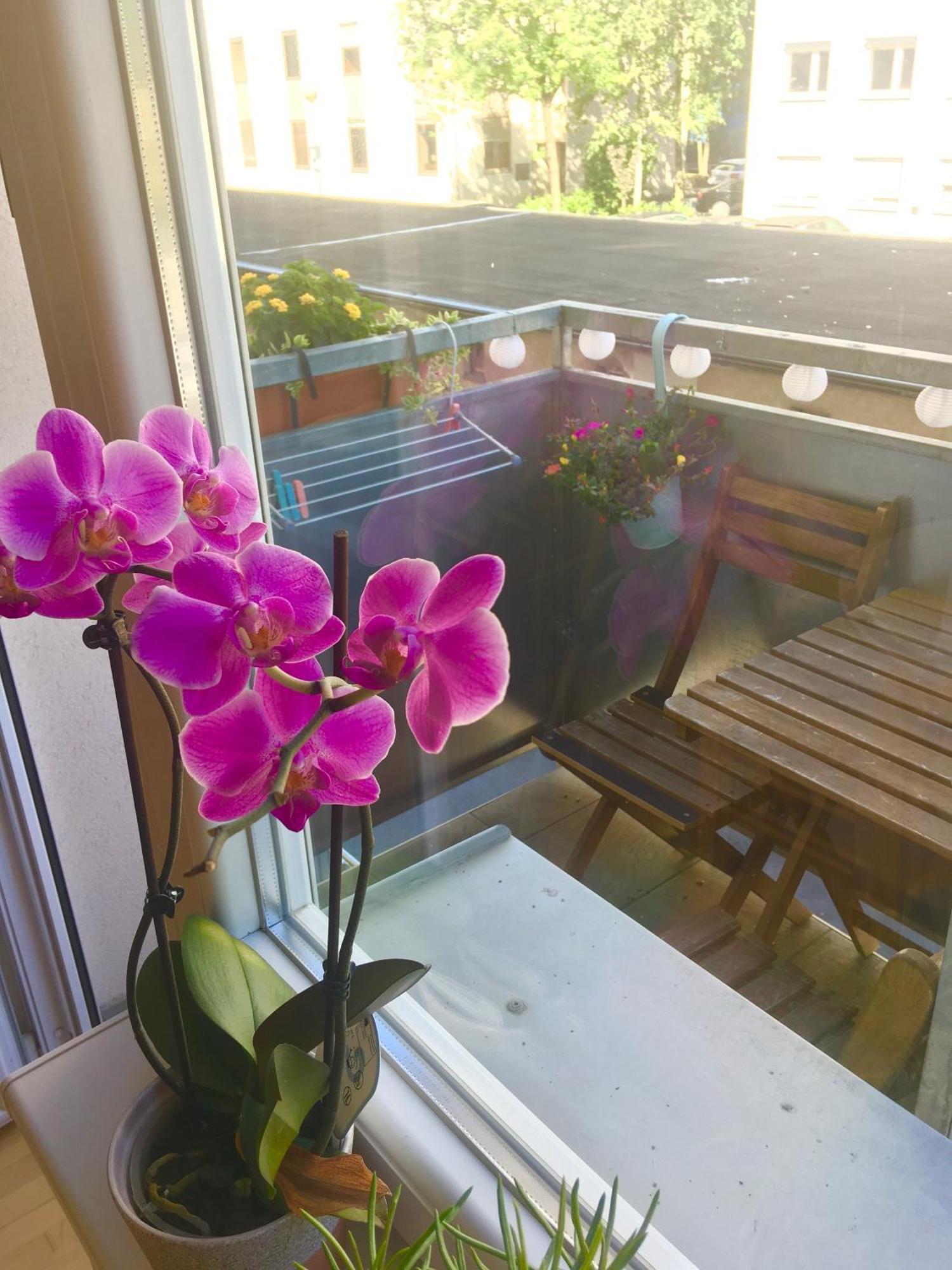 Cosy Studio Andy With Great Location Ljubljana Ngoại thất bức ảnh